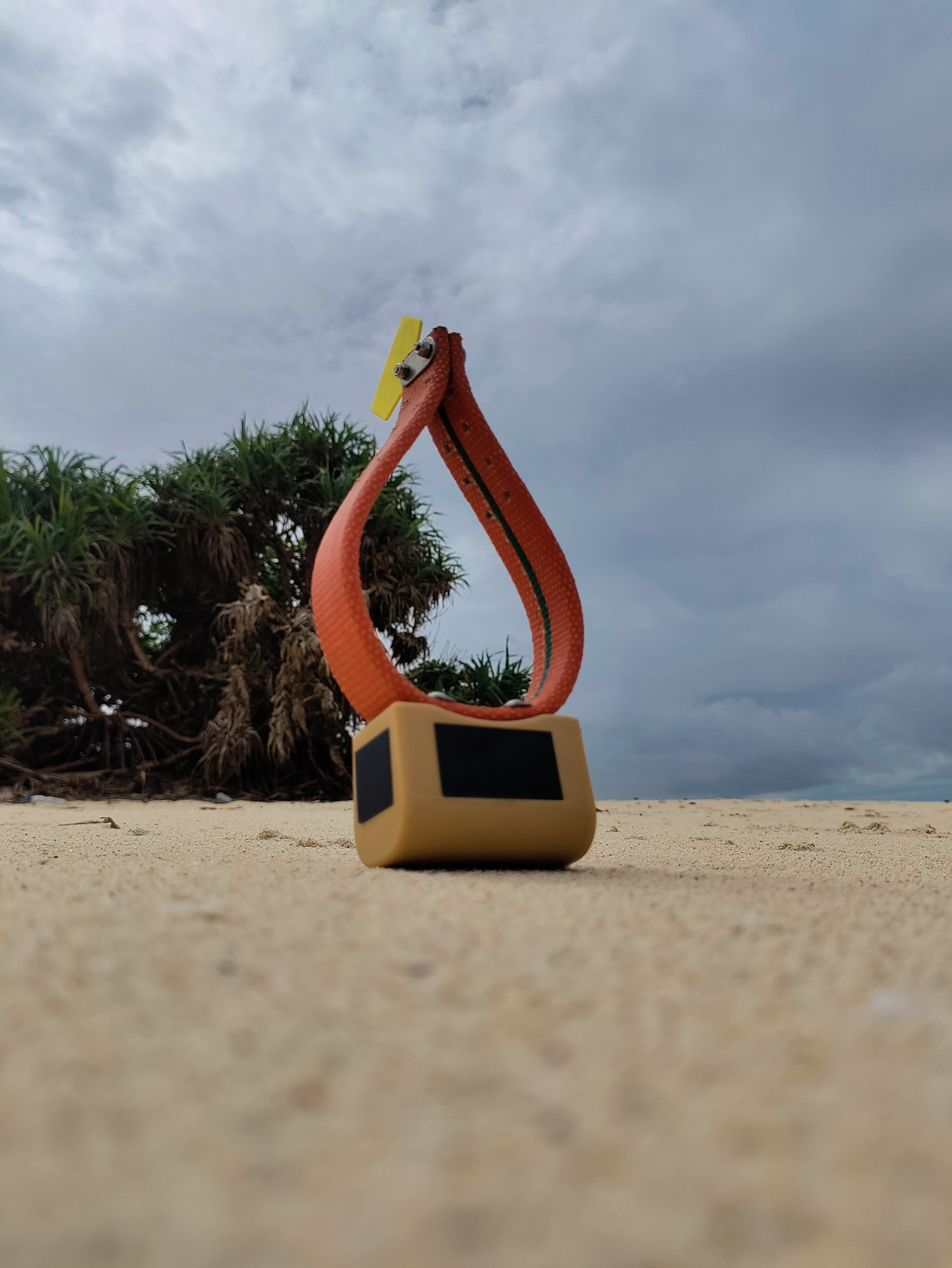 LoRa Kineis collar standing upright on the beach