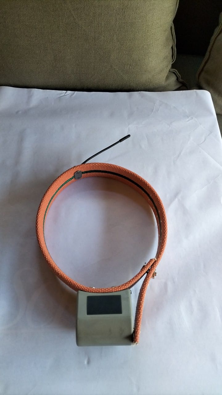 Collar with telemetry whip antenna