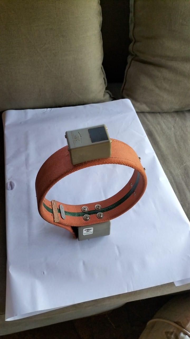 Standard Two collar with upper-side GPS enclosure and lower battery housing