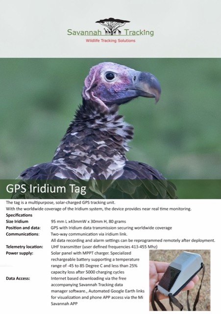 First page preview of Multi-Purpose GPS Tags Datasheet